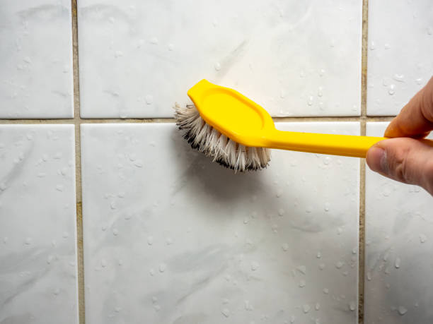 Best Local Mold Removal Service  in Kapaa, HI