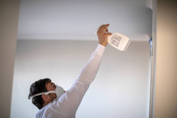 Best Mold Removal Company Near Me  in Kapaa, HI