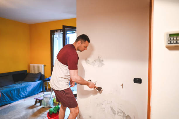 Best Best Mold Removal Companies  in Kapaa, HI